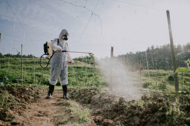 Best Best Pest Control Companies  in Jordan, MN