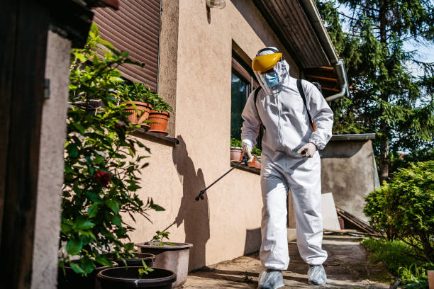 Trusted Jordan, MN Pest Control Experts