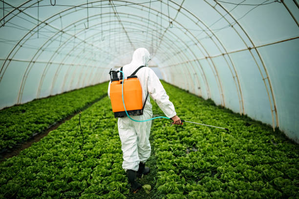 Best Pest Control for Restaurants  in Jordan, MN