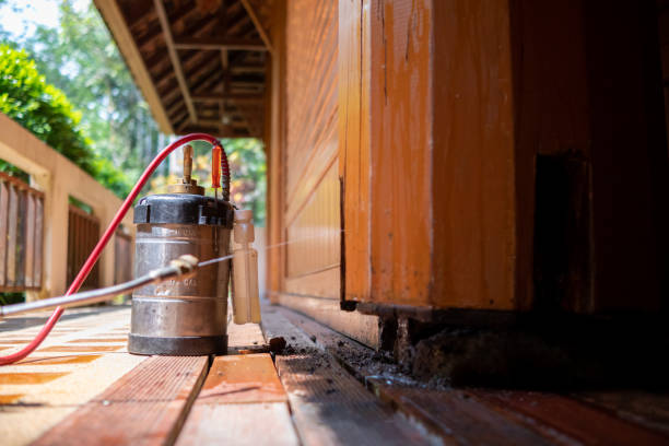 Best Cockroach Control Services  in Jordan, MN