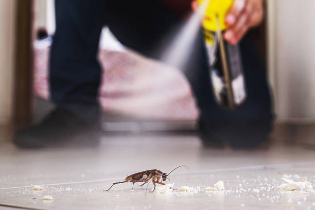 Best Commercial Pest Control Services  in Jordan, MN