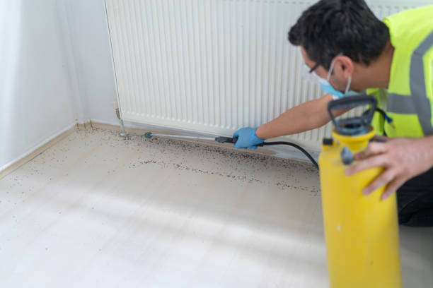 Best Emergency Pest Control  in Jordan, MN